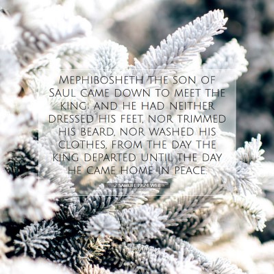 Picture 07 - 2 Samuel 19:24 WEB - Mephibosheth the son of Saul came down to meet - Bible Verse Picture
