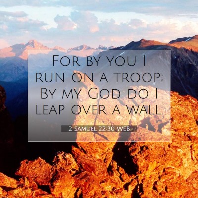 Picture 07 - 2 Samuel 22:30 WEB - For by you I run on a troop; By my God do I leap - Bible Verse Picture