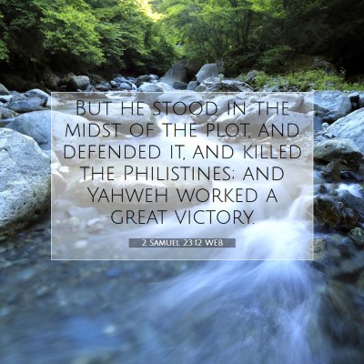 Picture 07 - 2 Samuel 23:12 WEB - But he stood in the midst of the plot, and - Bible Verse Picture