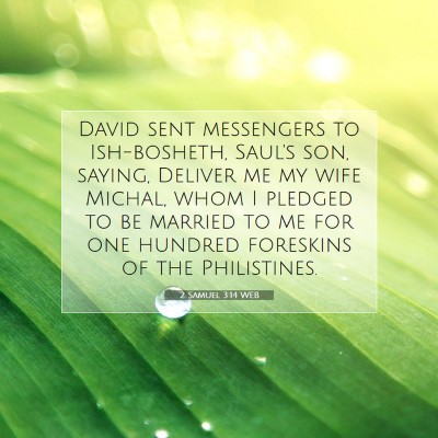 Picture 07 - 2 Samuel 3:14 WEB - David sent messengers to Ish-bosheth, Saul's son, - Bible Verse Picture