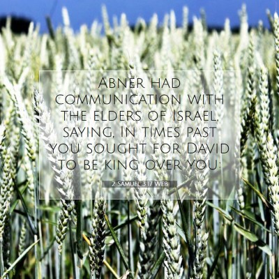 Picture 07 - 2 Samuel 3:17 WEB - Abner had communication with the elders of - Bible Verse Picture