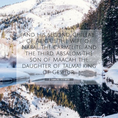 Picture 07 - 2 Samuel 3:3 WEB - and his second, Chileab, of Abigail the wife of - Bible Verse Picture