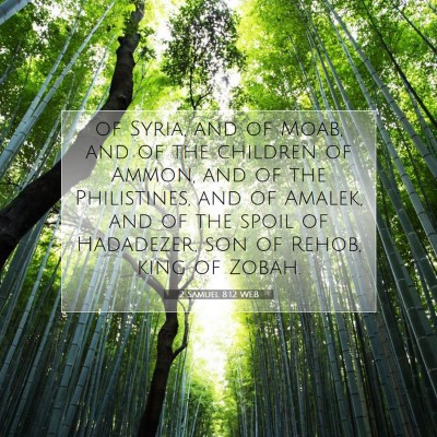 Picture 07 - 2 Samuel 8:12 WEB - of Syria, and of Moab, and of the children of - Bible Verse Picture