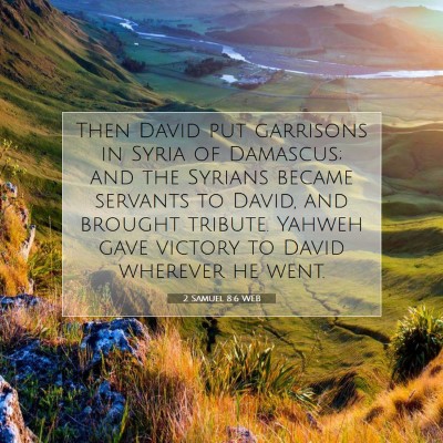 Picture 07 - 2 Samuel 8:6 WEB - Then David put garrisons in Syria of Damascus; - Bible Verse Picture