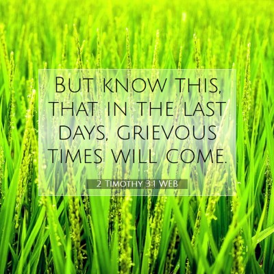 Picture 07 - 2 Timothy 3:1 WEB - But know this, that in the last days, grievous - Bible Verse Picture