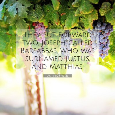 Picture 07 - Acts 1:23 WEB - They put forward two, Joseph called Barsabbas, - Bible Verse Picture