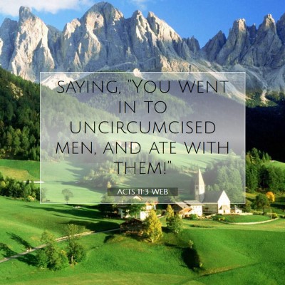 Picture 07 - Acts 11:3 WEB - saying, 