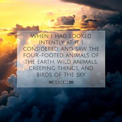 Picture 07 - Acts 11:6 WEB - When I had looked intently at it, I considered, - Bible Verse Picture
