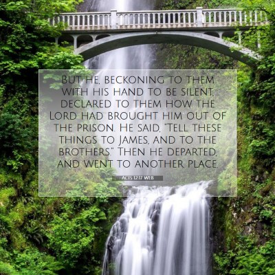 Picture 07 - Acts 12:17 WEB - But he, beckoning to them with his hand to be - Bible Verse Picture