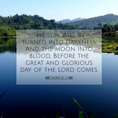Picture 07 - Acts 2:20 WEB - The sun will be turned into darkness, And the - Bible Verse Picture