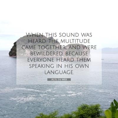 Picture 07 - Acts 2:6 WEB - When this sound was heard, the multitude came - Bible Verse Picture