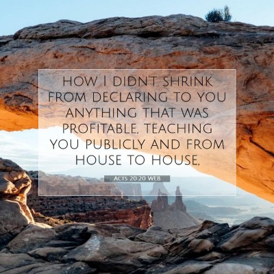 Picture 07 - Acts 20:20 WEB - how I didn't shrink from declaring to you - Bible Verse Picture