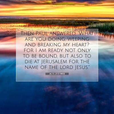 Picture 07 - Acts 21:13 WEB - Then Paul answered, 