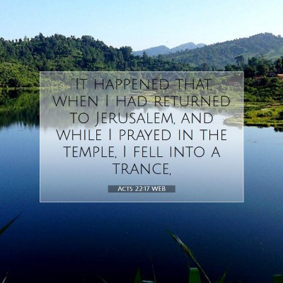Picture 07 - Acts 22:17 WEB - 