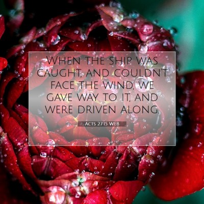 Picture 07 - Acts 27:15 WEB - When the ship was caught, and couldn't face the - Bible Verse Picture
