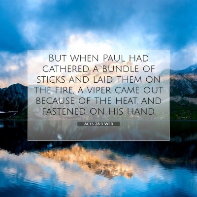 Picture 07 - Acts 28:3 WEB - But when Paul had gathered a bundle of sticks and - Bible Verse Picture