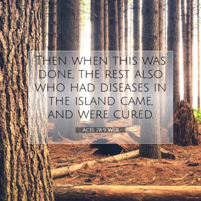 Picture 07 - Acts 28:9 WEB - Then when this was done, the rest also who had - Bible Verse Picture