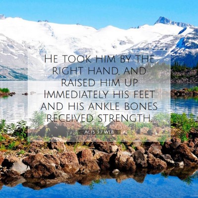 Picture 07 - Acts 3:7 WEB - He took him by the right hand, and raised him up. - Bible Verse Picture