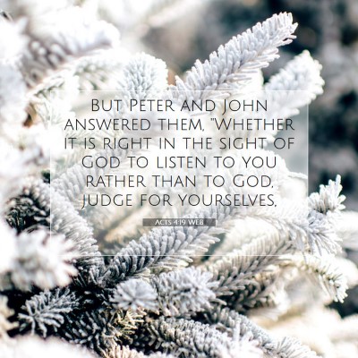 Picture 07 - Acts 4:19 WEB - But Peter and John answered them, 