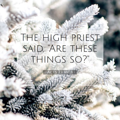 Picture 07 - Acts 7:1 WEB - The high priest said, 