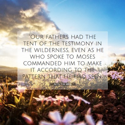 Picture 07 - Acts 7:44 WEB - 