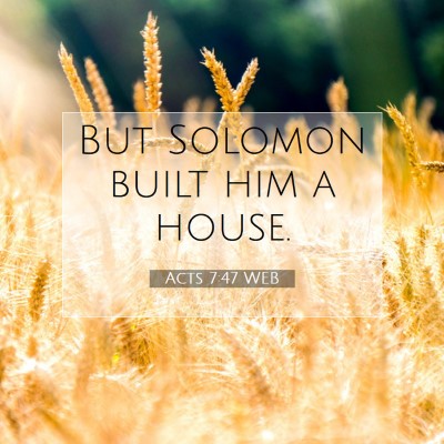Picture 07 - Acts 7:47 WEB - But Solomon built him a - Bible Verse Picture