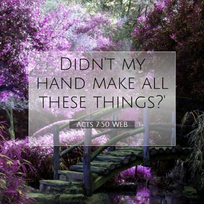 Picture 07 - Acts 7:50 WEB - Didn't my hand make all these - Bible Verse Picture