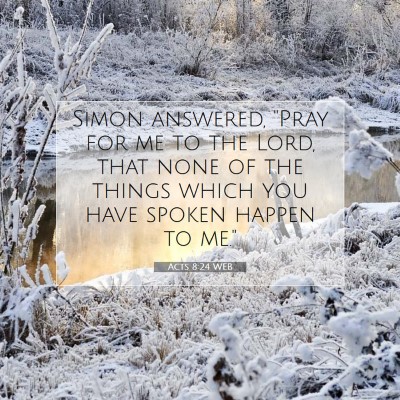 Picture 07 - Acts 8:24 WEB - Simon answered, 