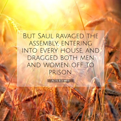 Picture 07 - Acts 8:3 WEB - But Saul ravaged the assembly, entering into - Bible Verse Picture