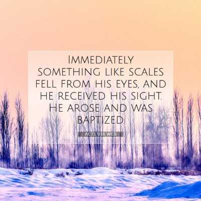 Picture 07 - Acts 9:18 WEB - Immediately something like scales fell from his - Bible Verse Picture
