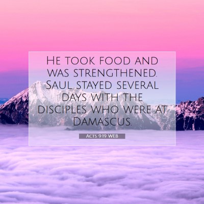 Picture 07 - Acts 9:19 WEB - He took food and was strengthened. Saul stayed - Bible Verse Picture