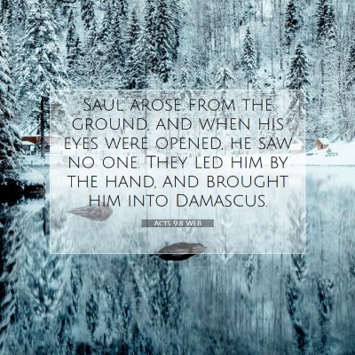 Picture 07 - Acts 9:8 WEB - Saul arose from the ground, and when his eyes - Bible Verse Picture