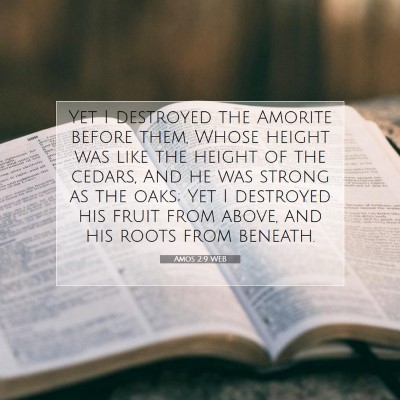 Picture 07 - Amos 2:9 WEB - Yet I destroyed the Amorite before them, Whose - Bible Verse Picture