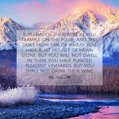 Picture 07 - Amos 5:11 WEB - Forasmuch therefore as you trample on the poor, - Bible Verse Picture