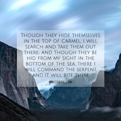 Picture 07 - Amos 9:3 WEB - Though they hide themselves in the top of Carmel, - Bible Verse Picture