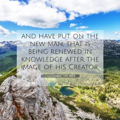 Picture 07 - Colossians 3:10 WEB - and have put on the new man, that is being - Bible Verse Picture