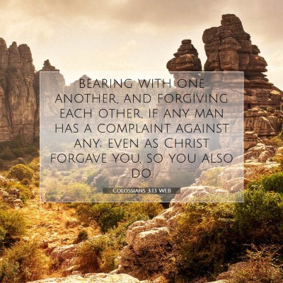 Picture 07 - Colossians 3:13 WEB - bearing with one another, and forgiving each - Bible Verse Picture