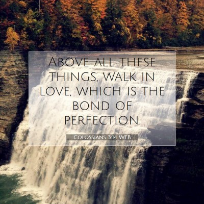 Picture 07 - Colossians 3:14 WEB - Above all these things, walk in love, which is - Bible Verse Picture
