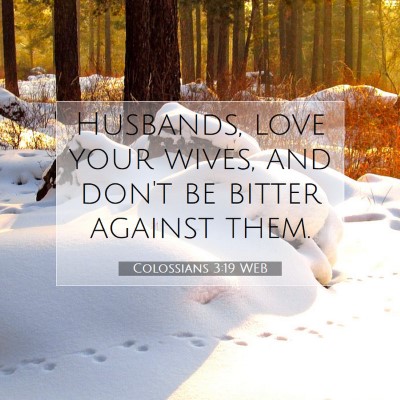 Picture 07 - Colossians 3:19 WEB - Husbands, love your wives, and don't be bitter - Bible Verse Picture