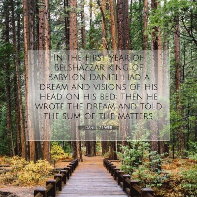 Picture 07 - Daniel 7:1 WEB - In the first year of Belshazzar king of Babylon - Bible Verse Picture