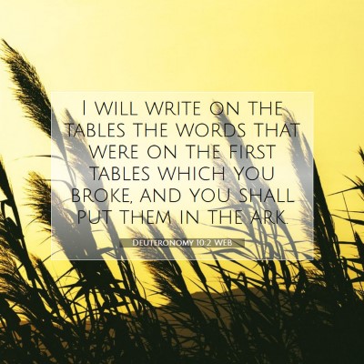 Picture 07 - Deuteronomy 10:2 WEB - I will write on the tables the words that were on - Bible Verse Picture