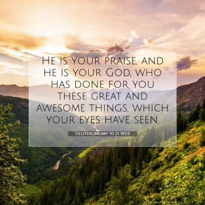 Picture 07 - Deuteronomy 10:21 WEB - He is your praise, and he is your God, who has - Bible Verse Picture