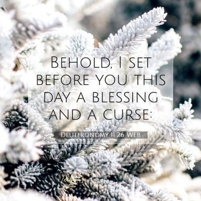Picture 07 - Deuteronomy 11:26 WEB - Behold, I set before you this day a blessing and - Bible Verse Picture