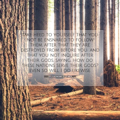 Picture 07 - Deuteronomy 12:30 WEB - take heed to yourself that you not be ensnared to - Bible Verse Picture