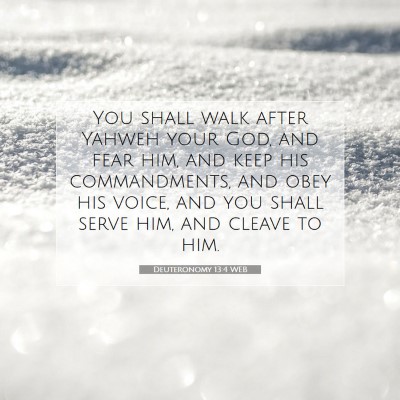 Picture 07 - Deuteronomy 13:4 WEB - You shall walk after Yahweh your God, and fear - Bible Verse Picture
