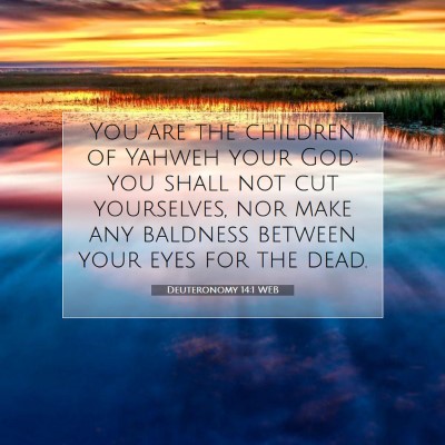 Picture 07 - Deuteronomy 14:1 WEB - You are the children of Yahweh your God: you - Bible Verse Picture