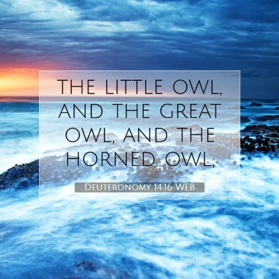 Picture 07 - Deuteronomy 14:16 WEB - the little owl, and the great owl, and the horned - Bible Verse Picture
