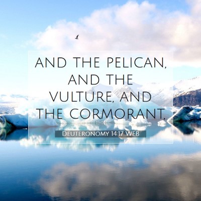 Picture 07 - Deuteronomy 14:17 WEB - and the pelican, and the vulture, and the - Bible Verse Picture