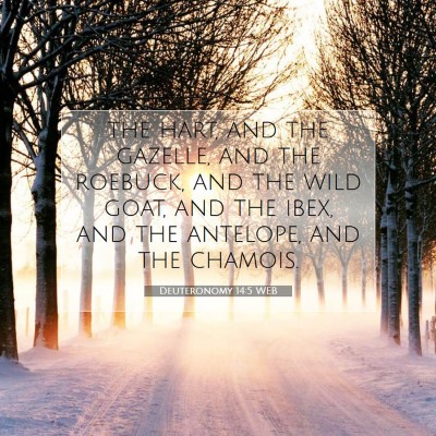 Picture 07 - Deuteronomy 14:5 WEB - the hart, and the gazelle, and the roebuck, and - Bible Verse Picture