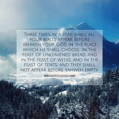 Picture 07 - Deuteronomy 16:16 WEB - Three times in a year shall all your males appear - Bible Verse Picture